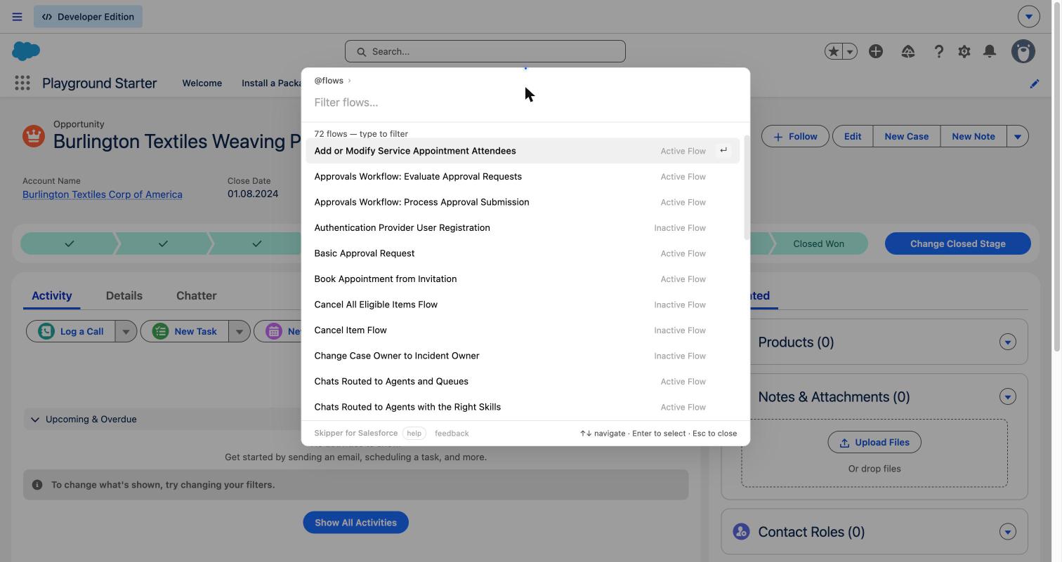Skipper @flow list showing active and inactive flows
